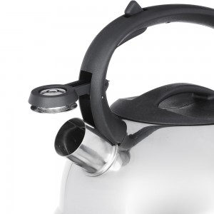 Чайник стальной 2.5л "Корсика" индукция 847-056