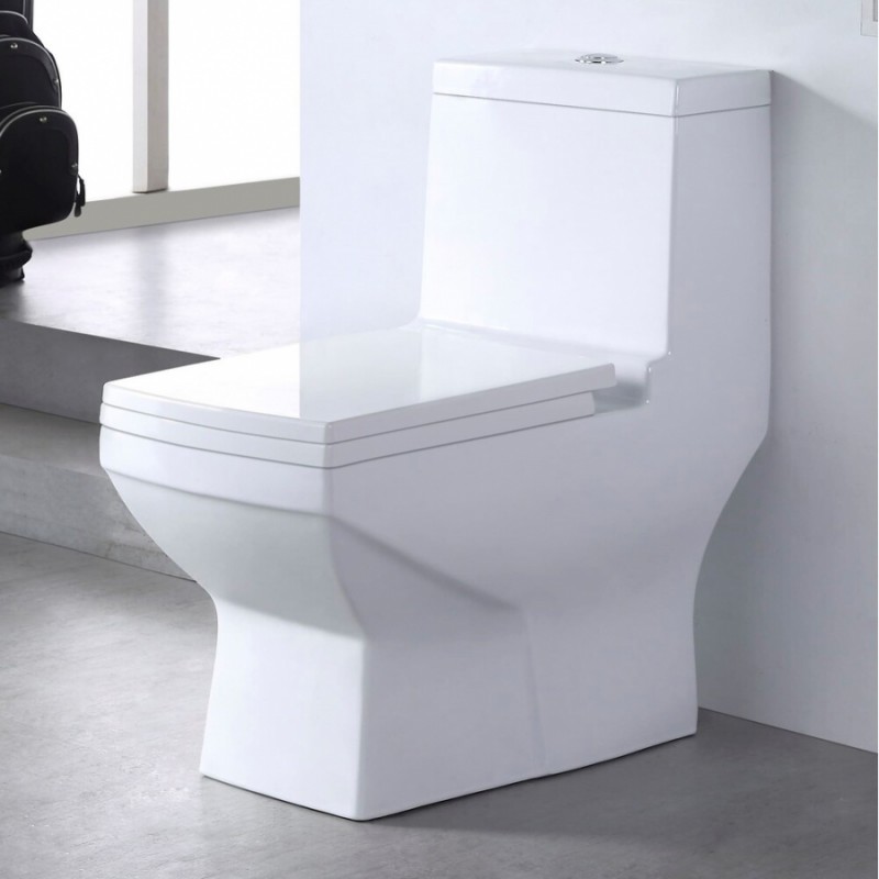 Унитаз моноблок SM9006A, сиденье ДП (с гофрой и подводкой) EvaGold