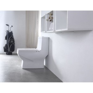 Унитаз моноблок SM9006A, сиденье ДП (с гофрой и подводкой) EvaGold