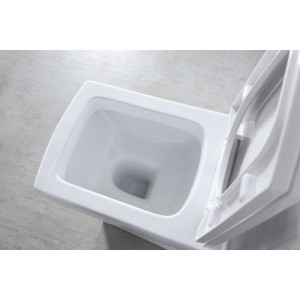 Унитаз моноблок SM9006A, сиденье ДП (с гофрой и подводкой) EvaGold