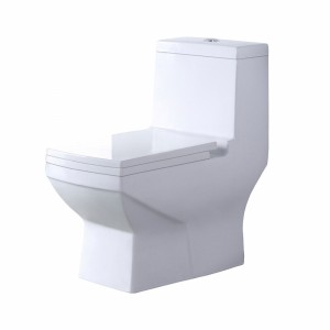 Унитаз моноблок SM9006A, сиденье ДП (с гофрой и подводкой) EvaGold