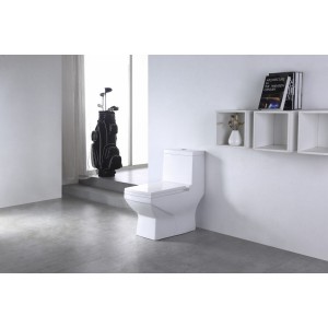 Унитаз моноблок SM9006A, сиденье ДП (с гофрой и подводкой) EvaGold