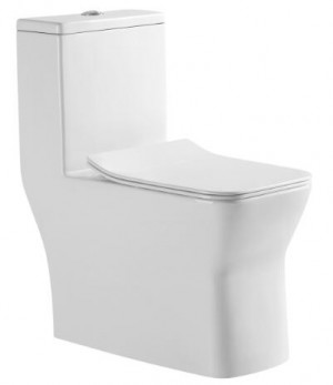 Унитаз моноблок SM9608, тонкое сиденье ДП (с гофрой и подводкой) EvaGold