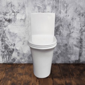 Унитаз моноблок SM9612, безободковый,(с гофрой и подводкой) тонкое сиденье ДП с быстр.съёмом EvaGold