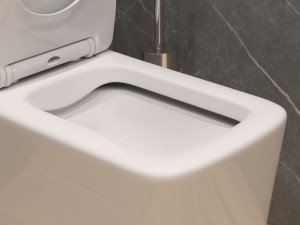 Унитаз моноблок SM9616 безободковый,(с гофрой и подводкой) тонкое сиденье ДП с быстр.съёмом EvaGold