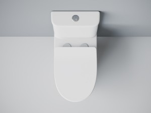 Унитаз моноблок SM9614, безободковый,(с гофрой и подводкой) тонкое сиденье ДП с быстр.съёмом EvaGold