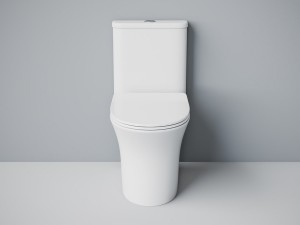 Унитаз моноблок SM9614, безободковый,(с гофрой и подводкой) тонкое сиденье ДП с быстр.съёмом EvaGold