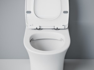 Унитаз моноблок SM9614, безободковый,(с гофрой и подводкой) тонкое сиденье ДП с быстр.съёмом EvaGold