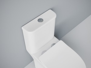 Унитаз моноблок SM9614, безободковый,(с гофрой и подводкой) тонкое сиденье ДП с быстр.съёмом EvaGold