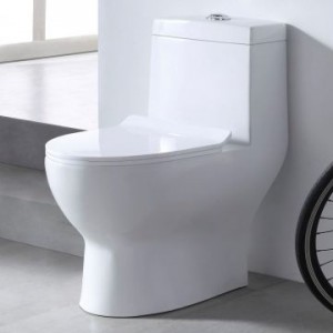 Унитаз моноблок SM9601, тонкое сиденье ДП (с гофрой и подводкой) EvaGold