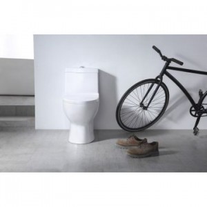 Унитаз моноблок SM9601, тонкое сиденье ДП (с гофрой и подводкой) EvaGold