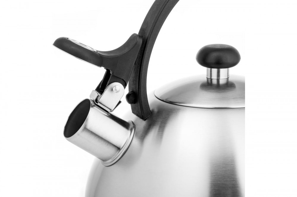 Чайник LARA (матовый) 2,5 л, индукционное капсулированное дно, нейлон.ручка LR00-65