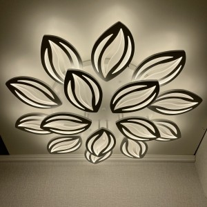 Люстра подвесная светодиодная с пультом LI8515/10+5 WH 300W