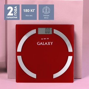 Весы многофункциональные электронные Galaxy GL4851