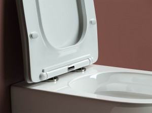 Унитаз подвесной FORMA Rimless, с крепежом, с сиденьем-крышкой с микролифтом CN3009