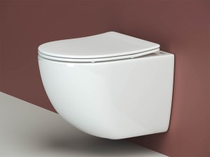 Унитаз подвесной FORMA Rimless, с крепежом, с сиденьем-крышкой с микролифтом CN3009