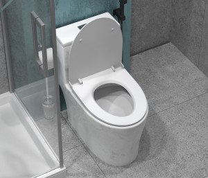 Унитаз-моноблок SM9609 МРАМОР, безободковый, сиденье ДП (с гофрой и подводкой) EvaGold