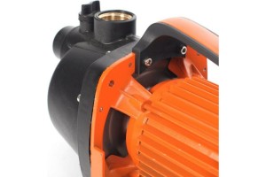 Насос поверхностный PATRIOT R 800 (насосная часть-пластик,800 Вт,3200л/час)