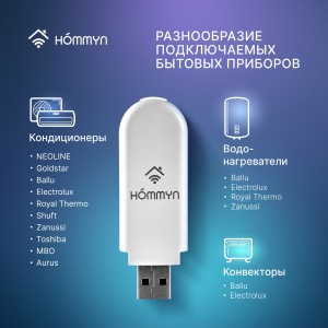 Модуль съемный управляющий HOMMYN HDN/WFN-02-01