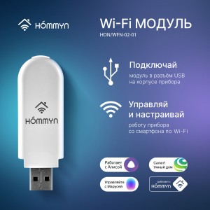 Модуль съемный управляющий HOMMYN HDN/WFN-02-01