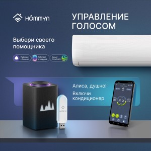 Модуль съемный управляющий HOMMYN HDN/WFN-02-01