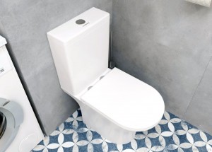 Унитаз-компакт А2801 безободковый тонкое сиденье ДП c бочком EG040038