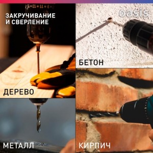 Дрель аккумуляторная Oasis ASB-12S