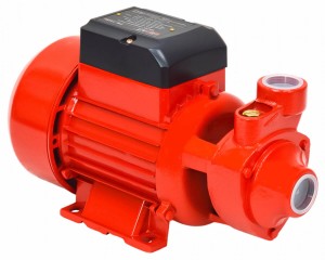 Насос поверхностный BRAIT PN-750N (750Вт, 45л/мин, макс.напор 50м, глубина всас. 8м))