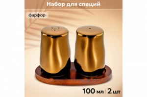 Набор для специй 2 предмета "Бронза" 540908