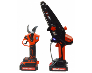 Набор садовый BRAIT: пила аккум. BCCS20NM-2 + сектор акккум. BCP30-2VBL 21.01.293.019