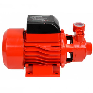 Насос поверхностный BRAIT PN-550 (550Вт, 60л/мин)